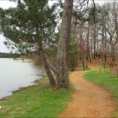 Lac ages