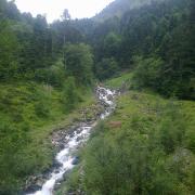Photo0242