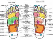 Reflexologie 1