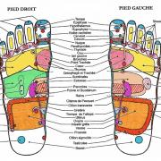 Reflexologie 3