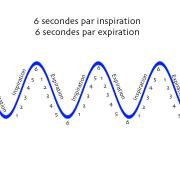 Respiration